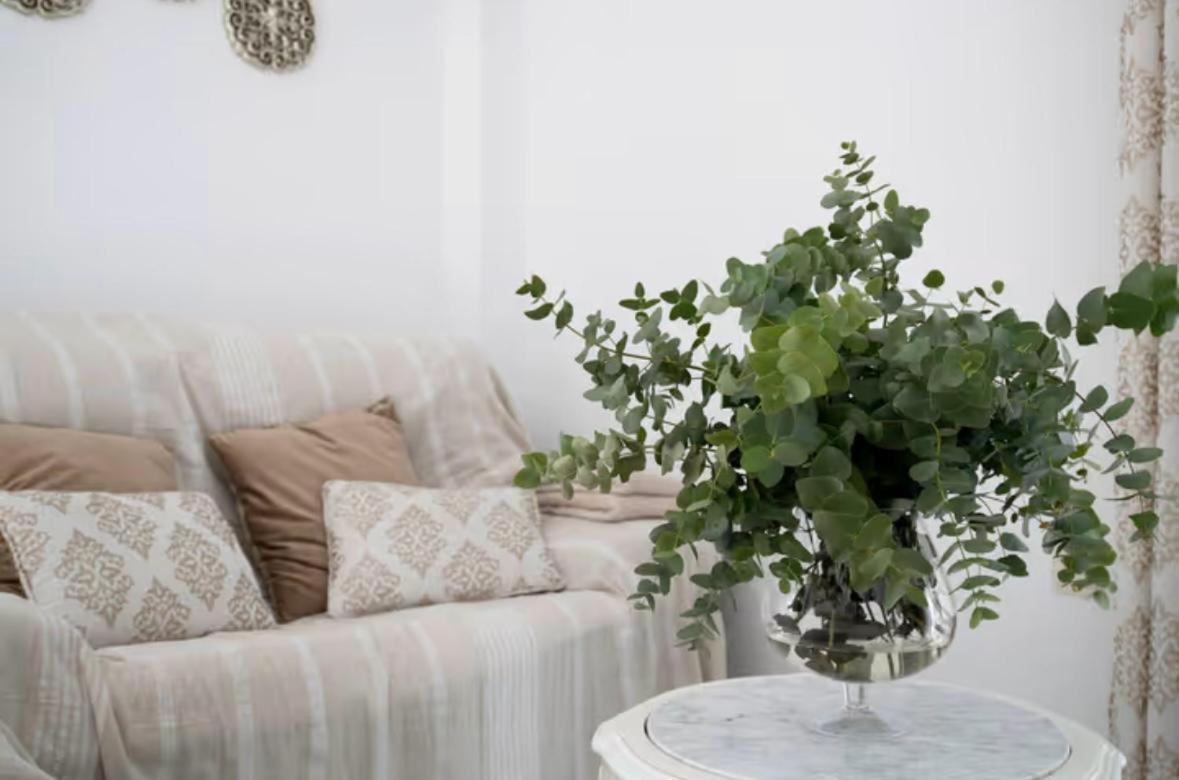 Apartamento Cataleya Ronda Luaran gambar